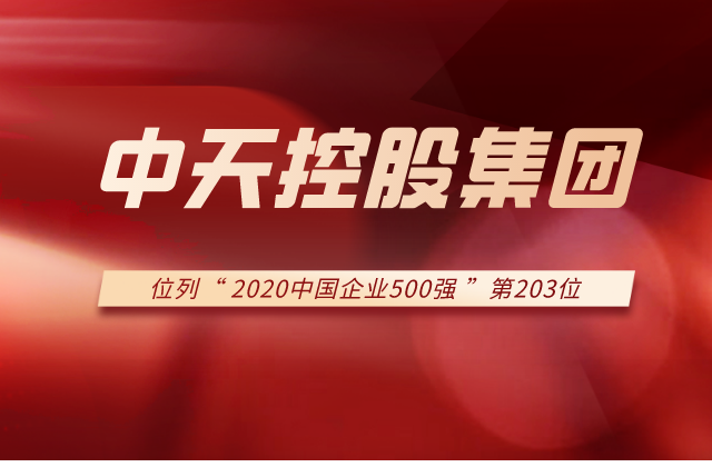 英国上市公司365集团列2020中国企业500强第203位！